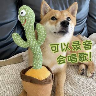 仙人掌宠物发声玩具录音学舌会唱歌跳舞发光狗狗玩具逗猫猫咪玩具