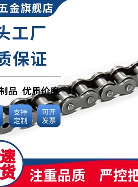 链条VMF01/21-40-4/8/10/20/30/40/50/60/70/80/100/110/120-A