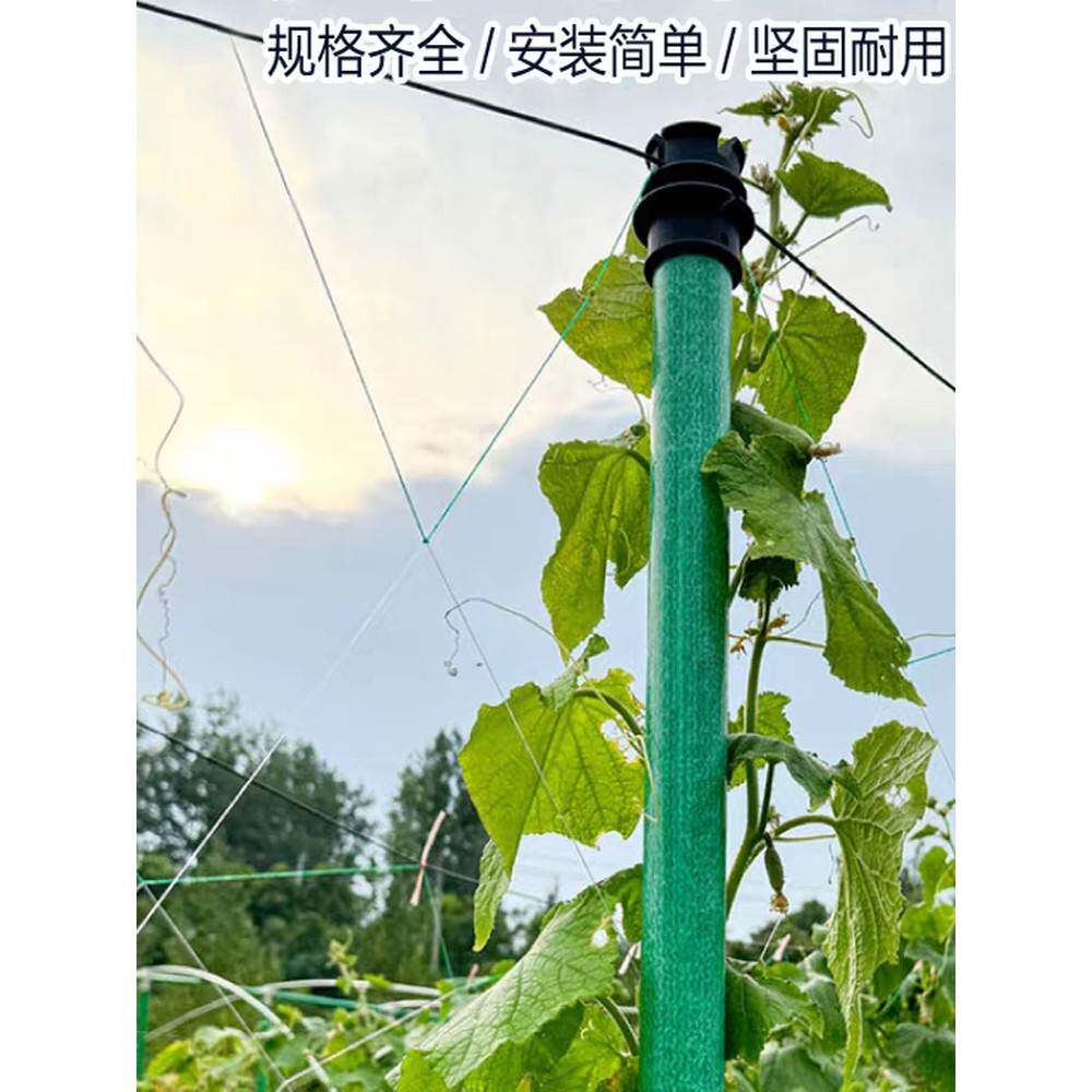 新型玻璃纤维管瓜果蔬菜种植苗木大棚支撑搭架海参网箱支架