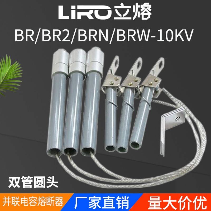 高压并联熔断器电容保护器BR2-BRW-BRN-10A12KV/30A40A60A100A150
