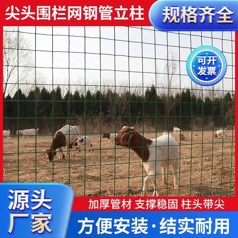 尖头围栏立柱杆拦鸡网地桩镀v锌钢管空心圆管方管爬藤葡萄架支撑图片
