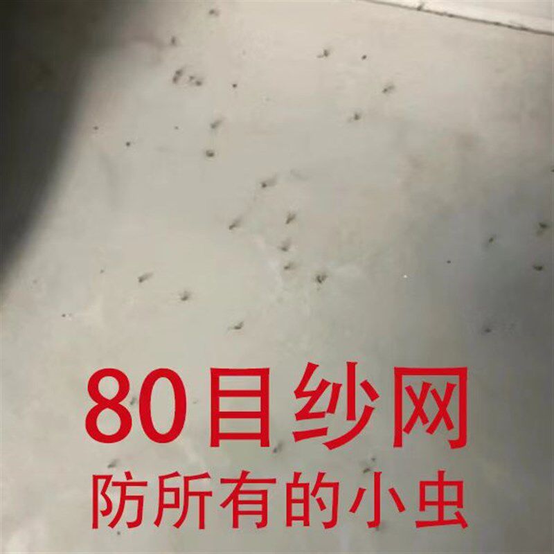 80目高透纱窗防小咬防隐翅虫小虫高清家用纱网纱窗网.自装大尺寸图片