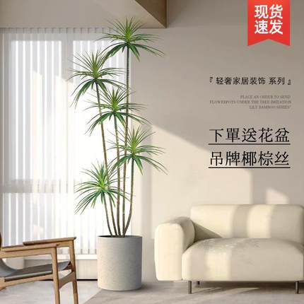 龙血树仿真绿植室内大型假植物盆栽客厅轻奢高级仿生花装饰品摆件