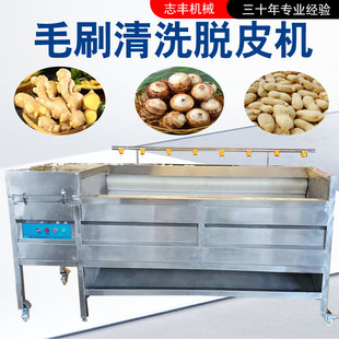 土豆毛刷清洗机源头厂家毛丝耐磨耐用型号多样红薯毛刷清洗机