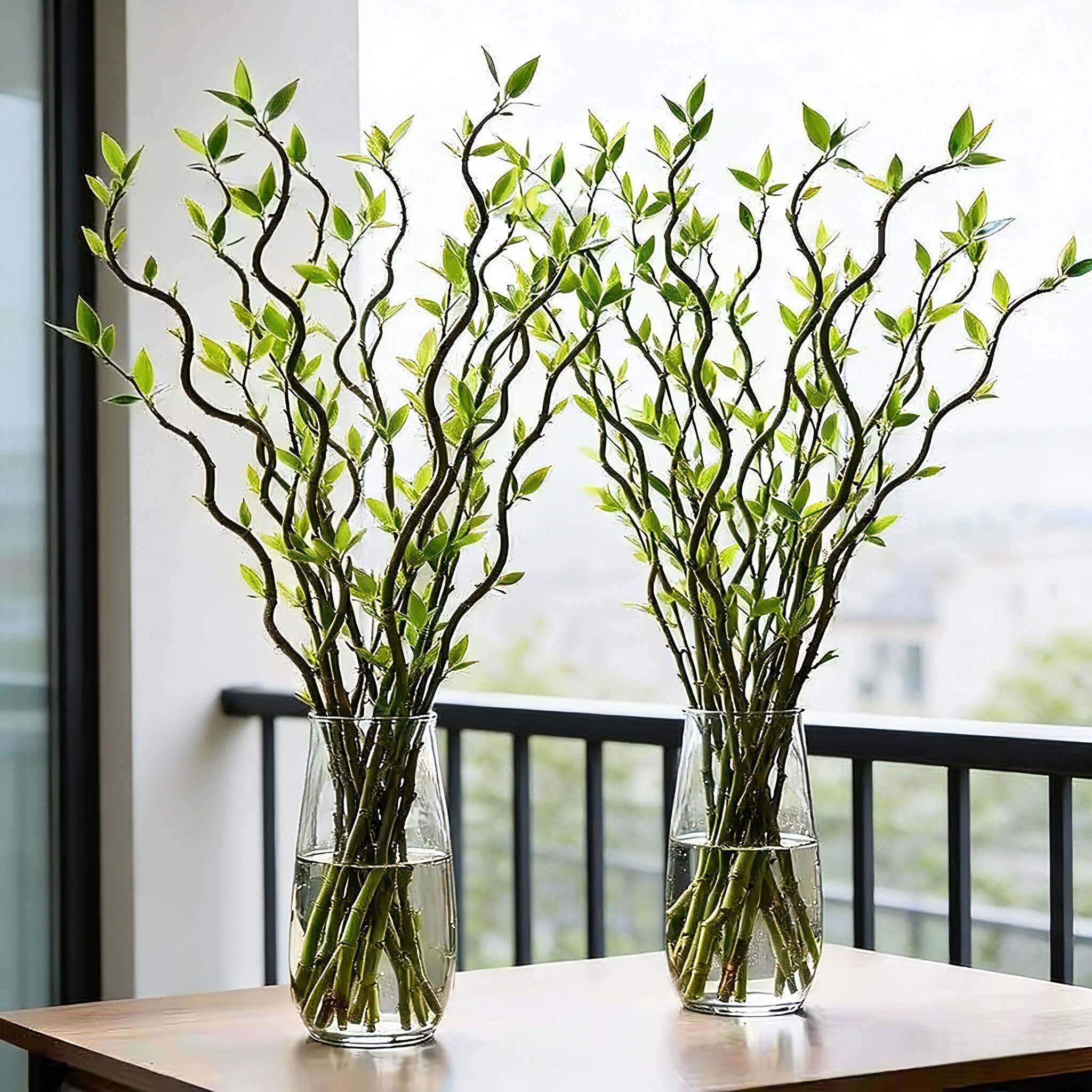 龙柳鲜枝水培植物客厅旺宅绿植雪柳带花苞花卉室内盆栽好养活国风