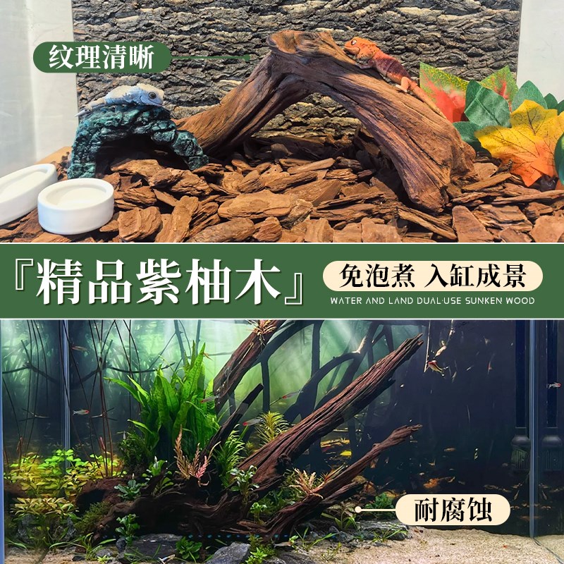 沉木鱼缸造景专用内饰摆件高级紫柚木蜥蜴守宫乌龟爬宠天然躲避屋