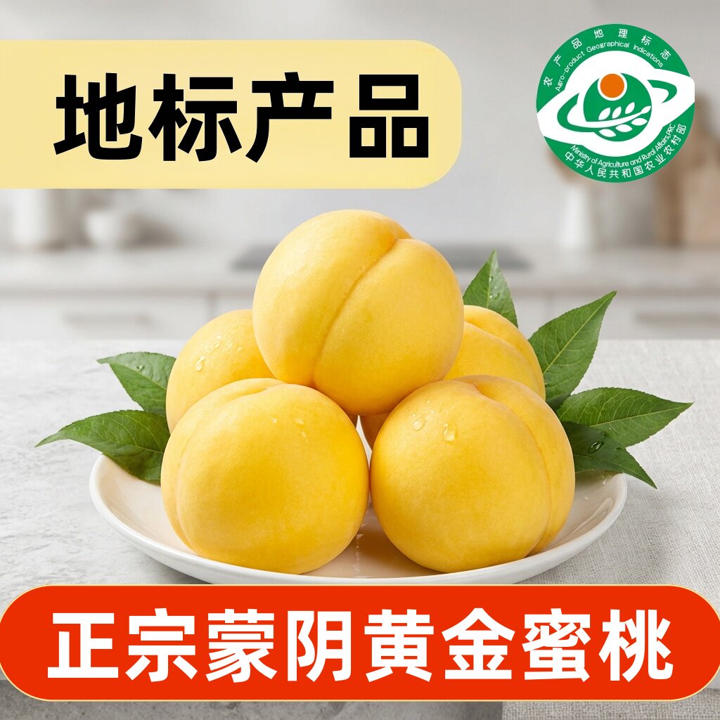 山东蒙阴黄毛桃 新鲜采摘蒙阴蜜桃 黄桃新鲜水果桃子应季水果