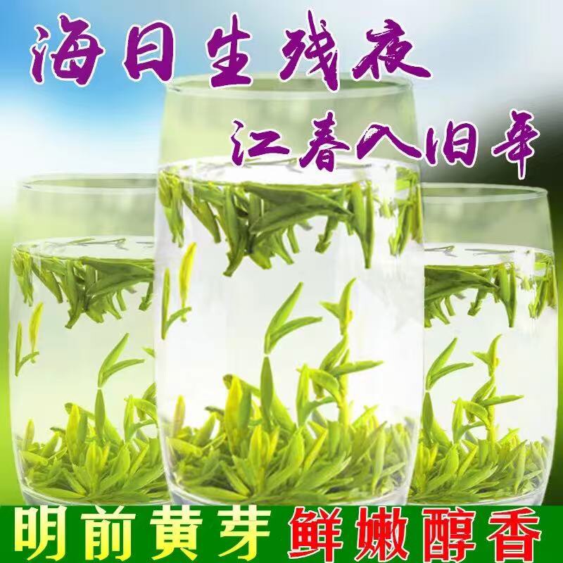 正宗霍山黄芽2026新茶正宗黄山毛峰茶叶明前特级清香春茶散罐装