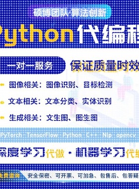 python代编机器学习算法创新脚本模型训练代码指导深度学习代做