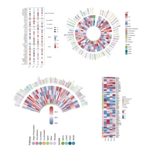 中药复方网络药理学服务数据库挖掘生信分析定制分子对接核心靶点