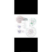 PPI网络图 PS组图代做 中药主成分 网络药理毒理学 分子对接