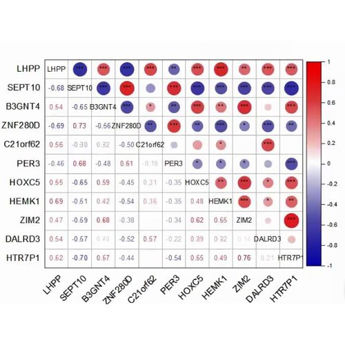 热图定制,HeatMap聚类热图,Correlation Plot相关性热图,生信