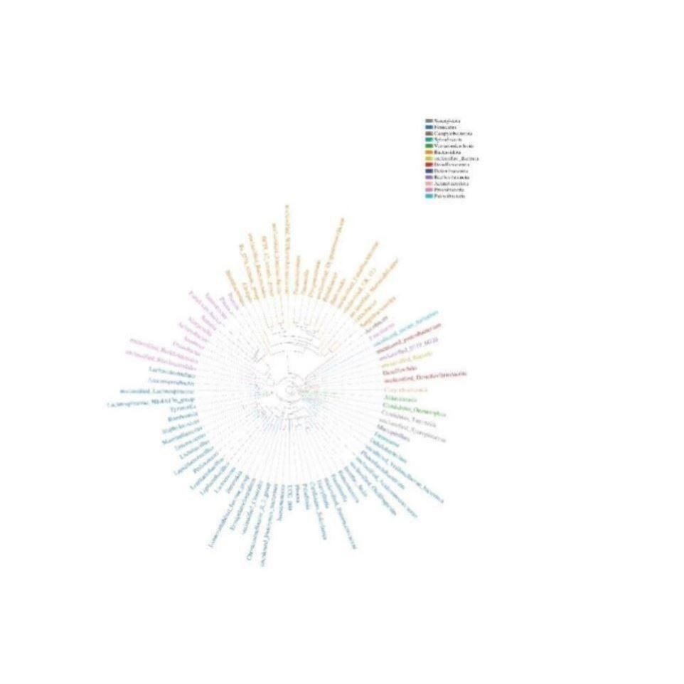 生信分析在线数据库工具文献解读教学火山图动物细胞蛋白分析,商务/设计服务,PPT设计,淘宝优惠券,粉丝福利购,淘宝优惠卷