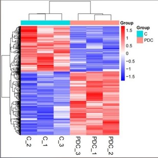 生信分析网络药理学孟德尔随机化MR实验外包火山图绘制