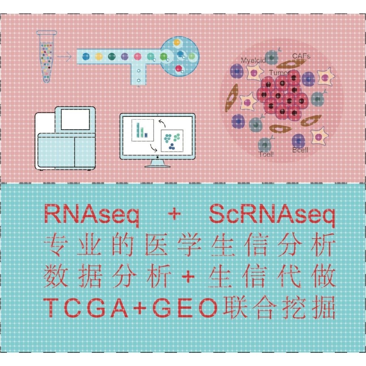 非中介生信分析单细胞转录组细胞通讯转录因子拟时均可python爬虫