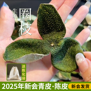 新會(huì)新陳皮青皮2025年?yáng)|甲圈枝柑陳皮干泡水茶廣東新會(huì)官方旗艦店