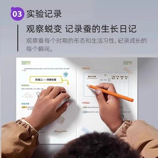 蚕宝宝学生养蚕套装卵幼虫饲养箱新鲜桑叶专用盒豪华别墅全套工具