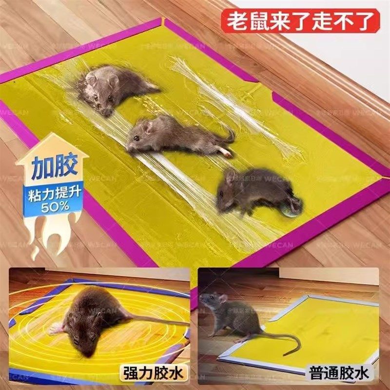 维康粘鼠板老鼠贴强力胶粘家用室内宿舍用超强捕鼠粘鼠扑捉器1274,居家日用,灭鼠笼/捕鼠器,淘宝优惠券,粉丝福利购,淘宝优惠卷