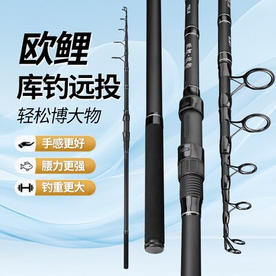 伸缩欧鲤钓套装海杆库钓岸抛超轻超硬远投竿海竿大导环滑carp大物