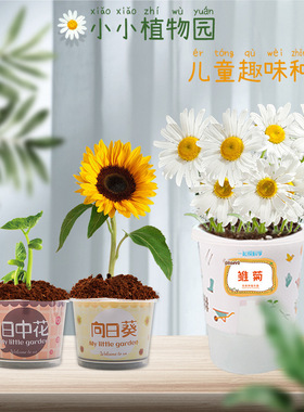 幼儿园diy手工儿童迷你种植植物小盆栽学生观察绿植种子发芽