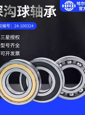 HRB哈尔滨轴承6410-2ZZZ 2RZ 2RS 开式 密封