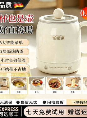 德国电炖杯陶瓷釉保温多功能便携