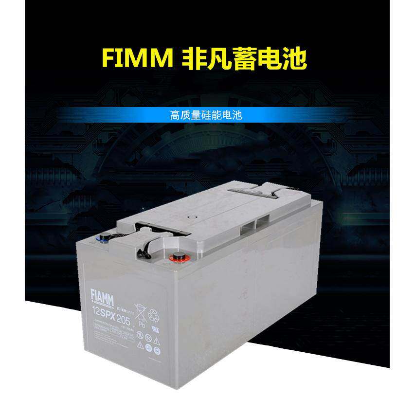 FIAMM非凡蓄电池12SP205 12V200AH 直流屏UPS 电力 风电 光伏船舶