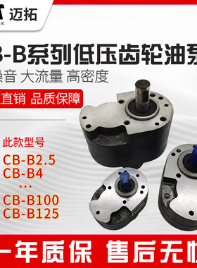 CB-B6/B10/B4/B16/B20/B25/B32/B40/B50/B63/B80/B100/B125齿轮泵
