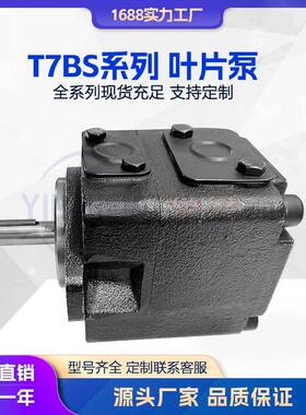 液压泵T7BS叶片泵船甲板克令吊液压泵高压叶片泵伺服泵T7BBT7DB