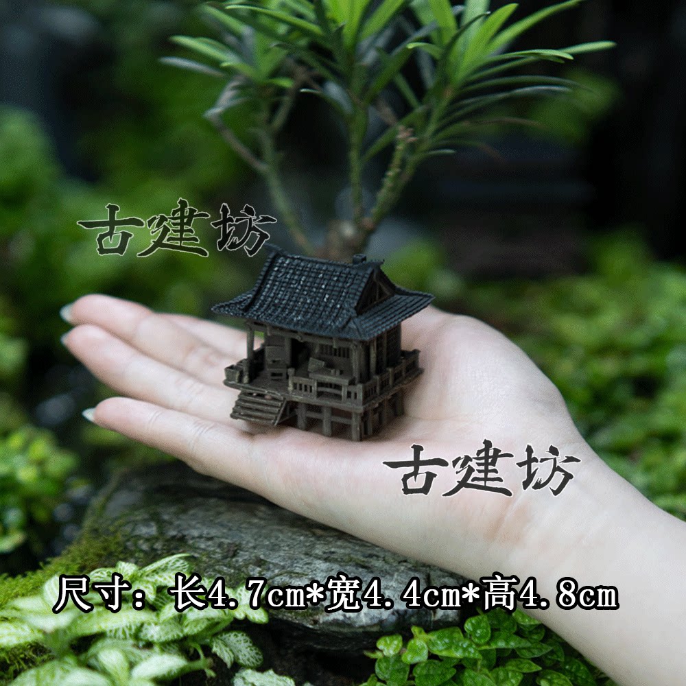 mini版鱼缸造景水陆微景观盆景