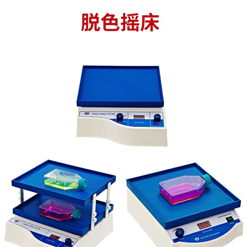 其林贝尔脱色摇床双层TS-1TS-200数显定时TS-1000实验室摇床TS-3D