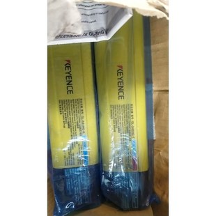 R40HG 基恩士安全光栅GL