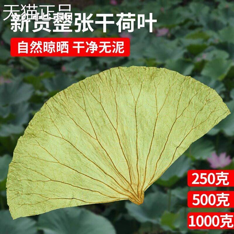 荷叶整张荷叶茶荷片干荷叶糯米荷叶鸡荷叶饭鸡微山荷叶整叶张