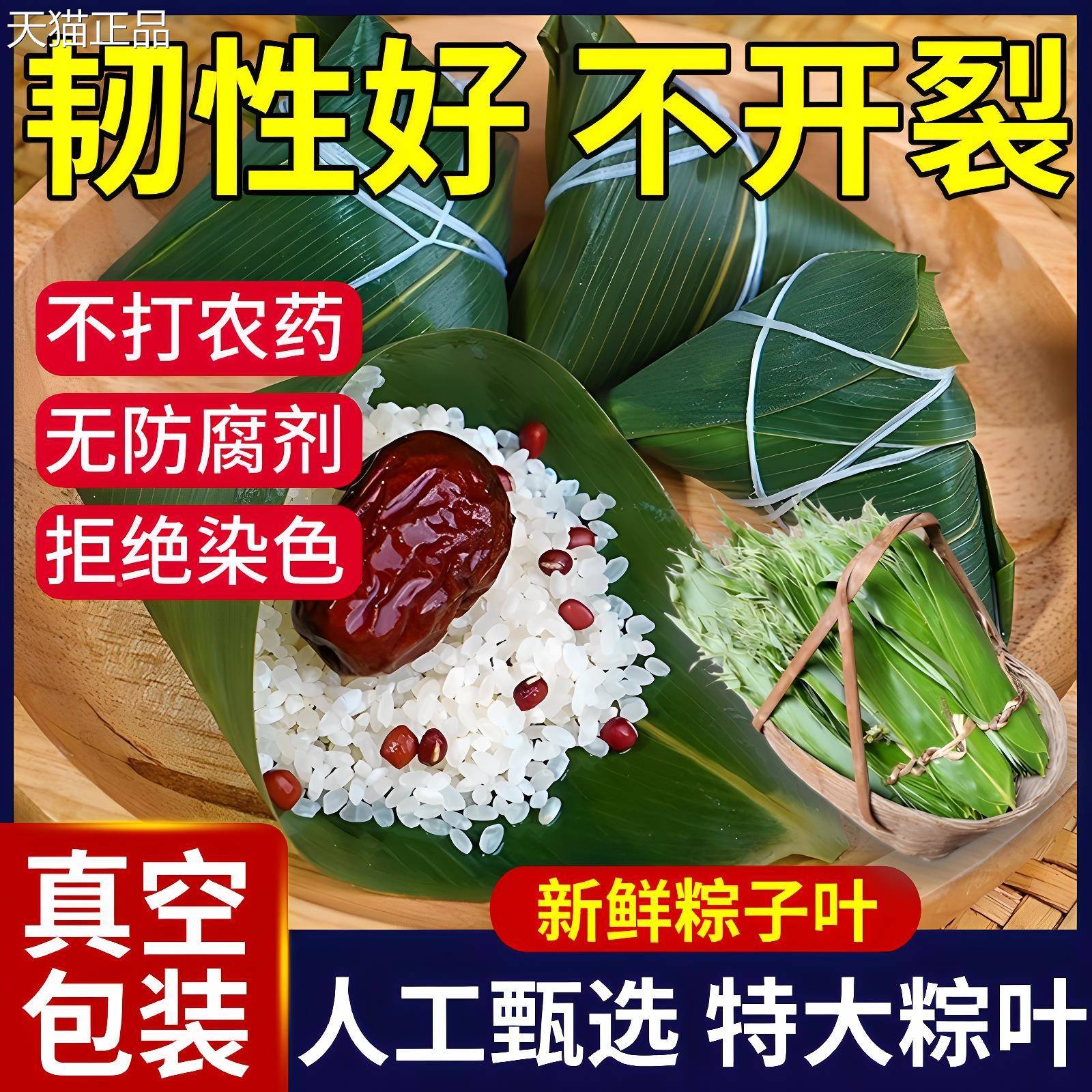 嘉兴粽叶新粽子叶大号粽箬叶新鲜鲜干粽新叶家用包叶粽子的粽叶