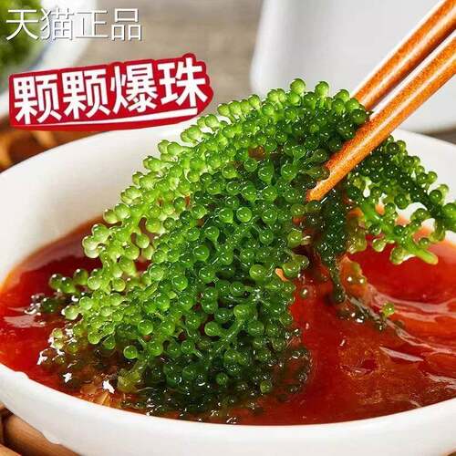 盐渍海葡萄新鲜即海食儿童带海藻草凉拌菜绿色鱼子酱火锅司寿食材