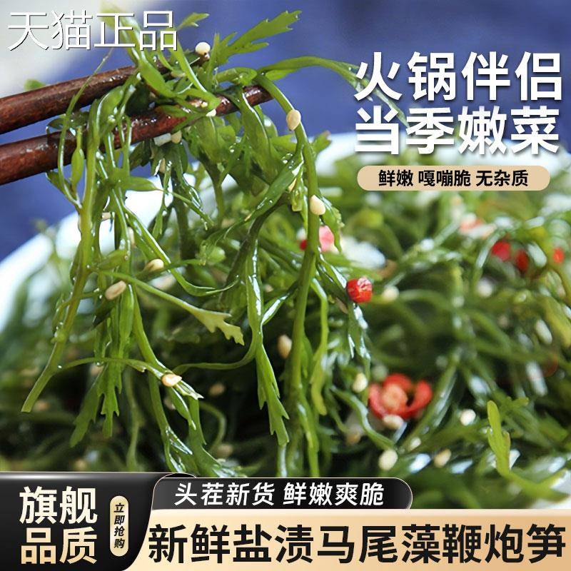 鞭炮长寿菜凉拌笋菜盐辣渍马尾藻火锅食材海麻烫炮仗笋海草