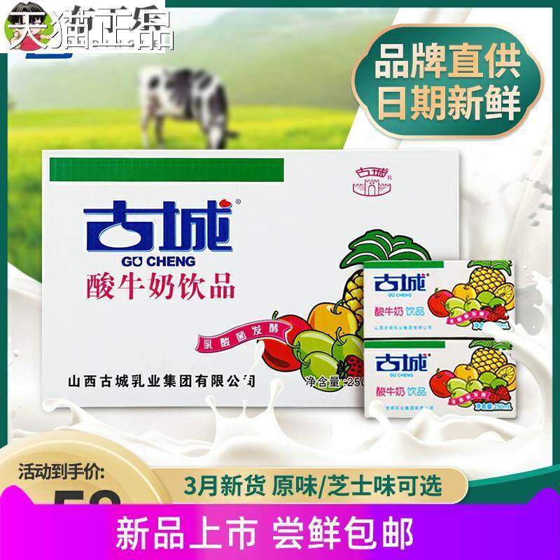 山发西特产古城酸奶酸牛奶乳整箱250ml*20盒装酸菌酵乳制含乳饮品