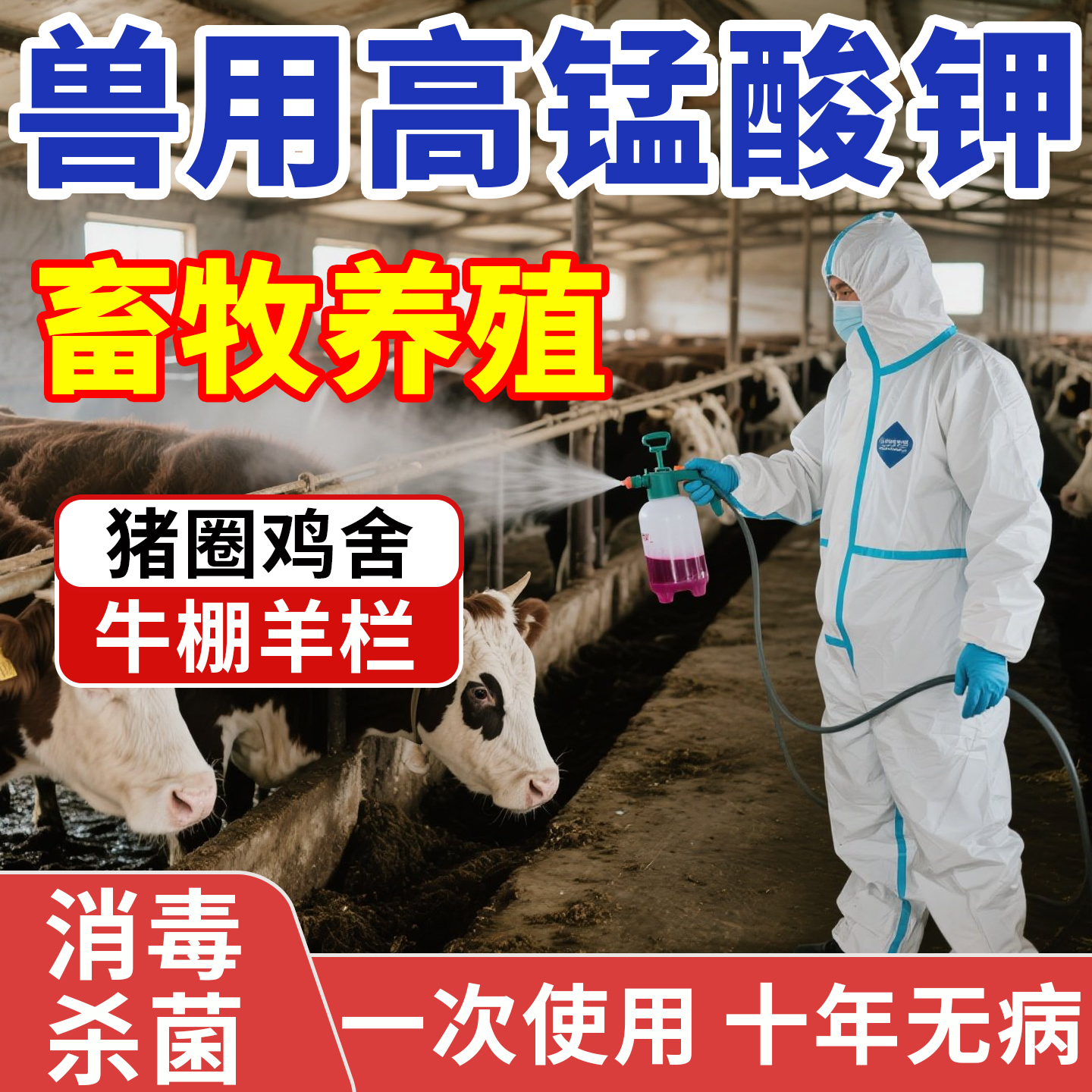 高锰酸钾兽用猪牛羊圈舍专用消毒液养殖场鸡鸭鹅棚杀菌剂除臭净化