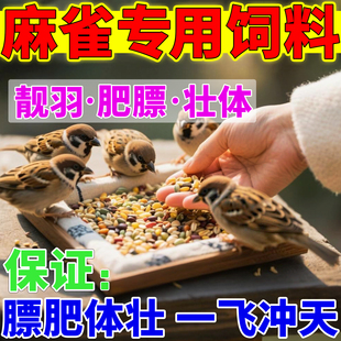 麻雀饲料幼鸟专用粮食布施黍谷杂粮带壳小米投喂山树家雀混合营养