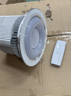 筒灯音箱嵌入式 无技术指导