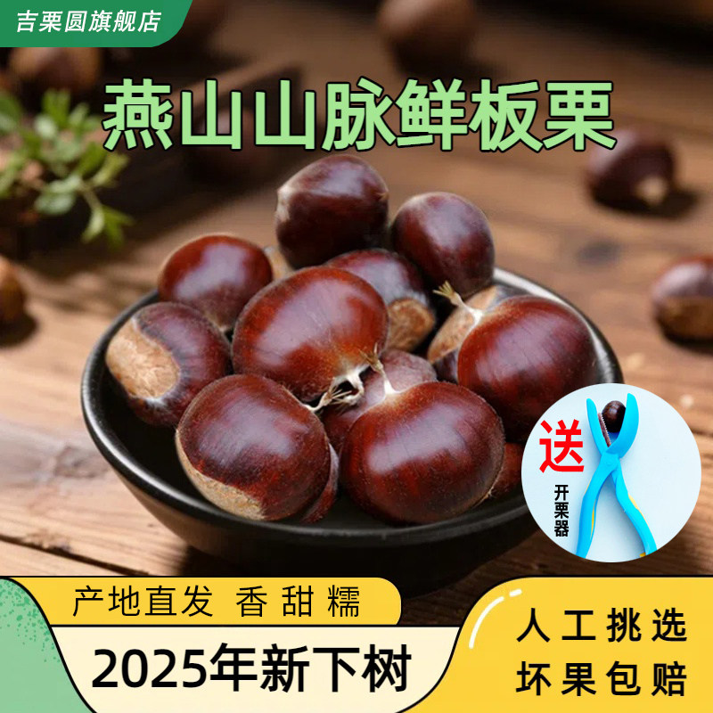 【吉栗圆】2025年生新鲜板栗3斤/5斤燕山产地新鲜大粒栗子生栗子