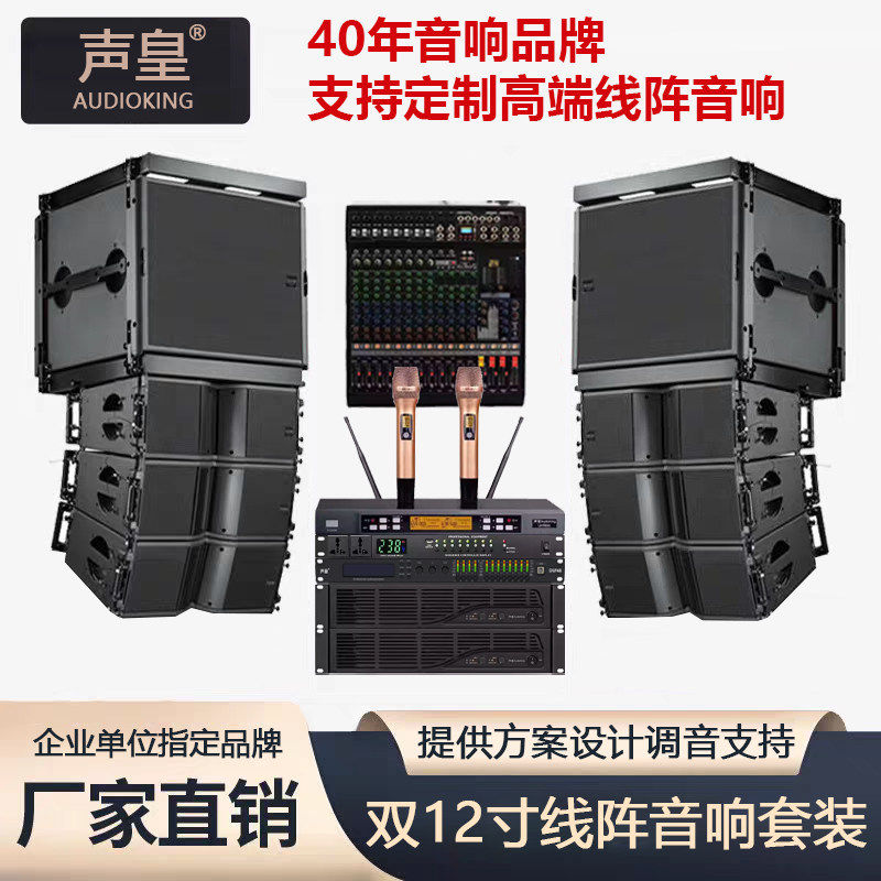 声皇AudioKing 双12寸(6+2)线阵音箱 舞台酒吧学校演出音响套装