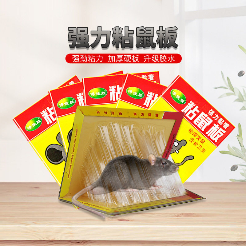 加厚加大强力粘鼠板老鼠贴粘老鼠胶杀老鼠捕鼠家用抓鼠驱鼠,居家日用,灭鼠笼/捕鼠器,淘宝优惠券,粉丝福利购,淘宝优惠卷