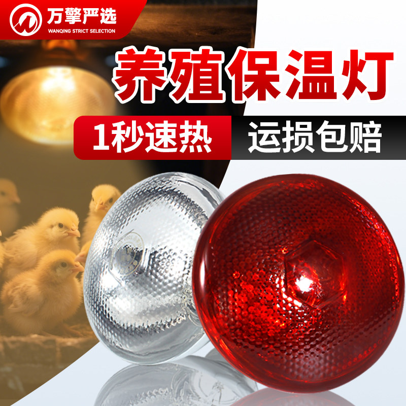 保温灯小鸡育雏保温灯养殖场专用加热灯仔猪取暖照明烤灯保温灯泡