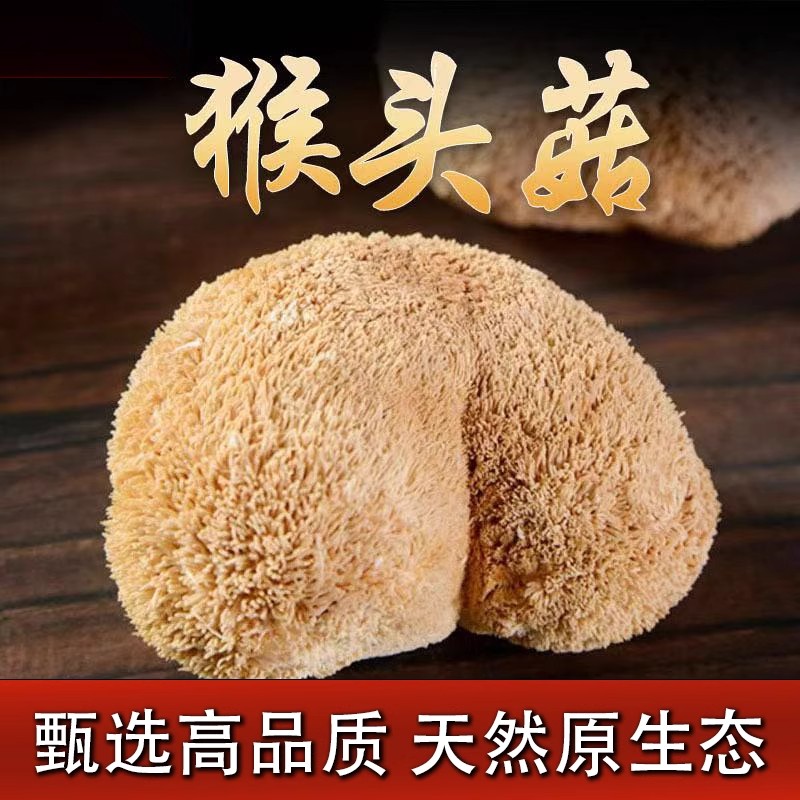 东北长白山猴头菇干货官方旗舰店500g可打粉养胃特级野生新鲜茶片