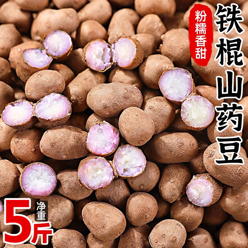 河南铁棍山药豆粉糯大果5斤装新鲜现摘农家冰糖葫芦用豆焦作批发