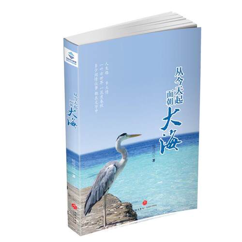 从今天起面朝大海杨传向著天地出版社