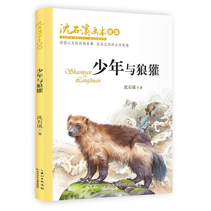 沈石溪画本.新版:少年与狼獾(儿童小说)沈石溪