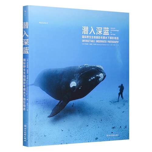 潜入深蓝：国际野生生物摄影年赛水下摄影精选罗莎蒙德