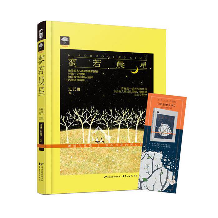 寥若晨星过云雨著花山文艺出版社9787551131209